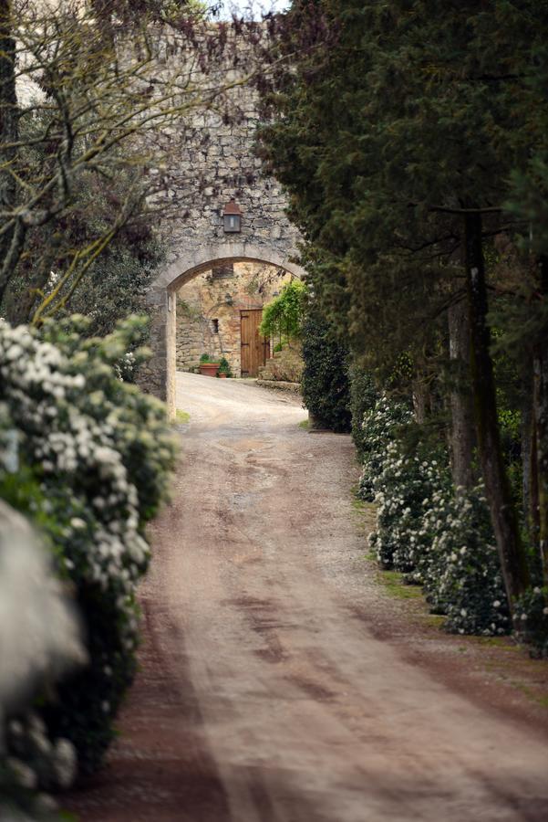 Castello Di Fighine Villa San Casciano dei Bagni Exterior photo